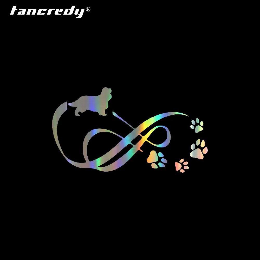 Tangredy 18*10 см милые домашние животные кавалер Кинг чарльз спаниель с животным