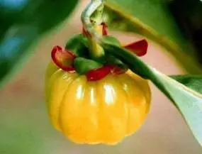 

1000g Garcinia Cambogia Extract 99% Weight Loss Relieve pressure Get a better sleep Hot Sale Free Shipping