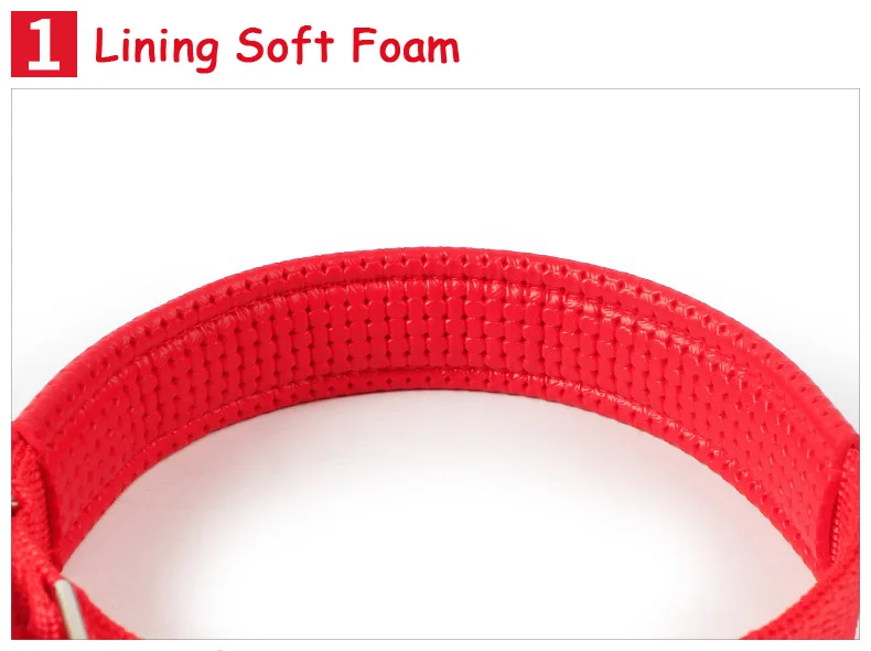 Nylon Medium Dog Collar (5)