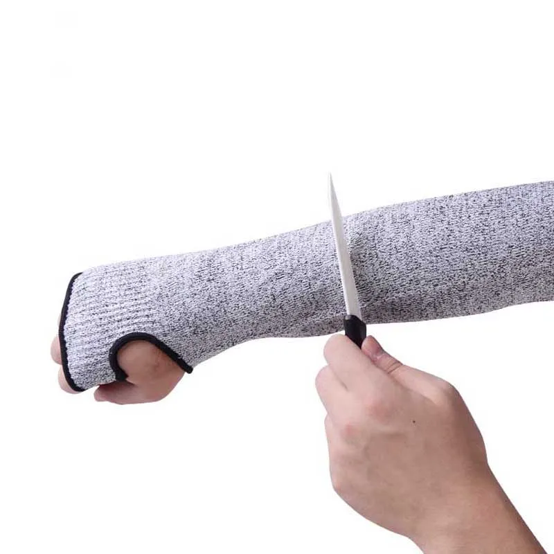 10316237699_1103130172