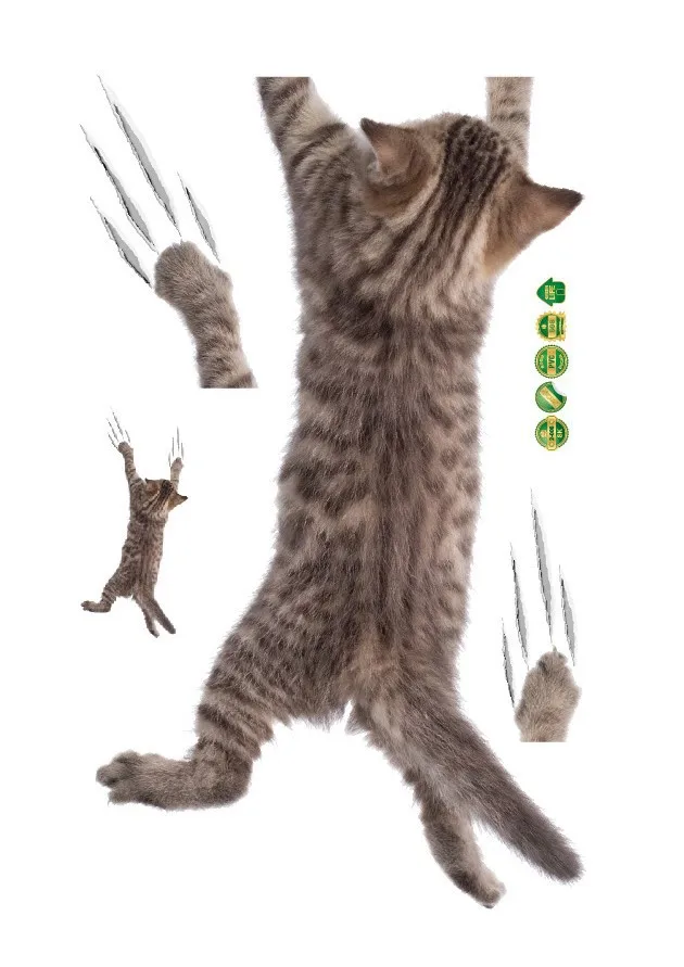 9035683033_764360284