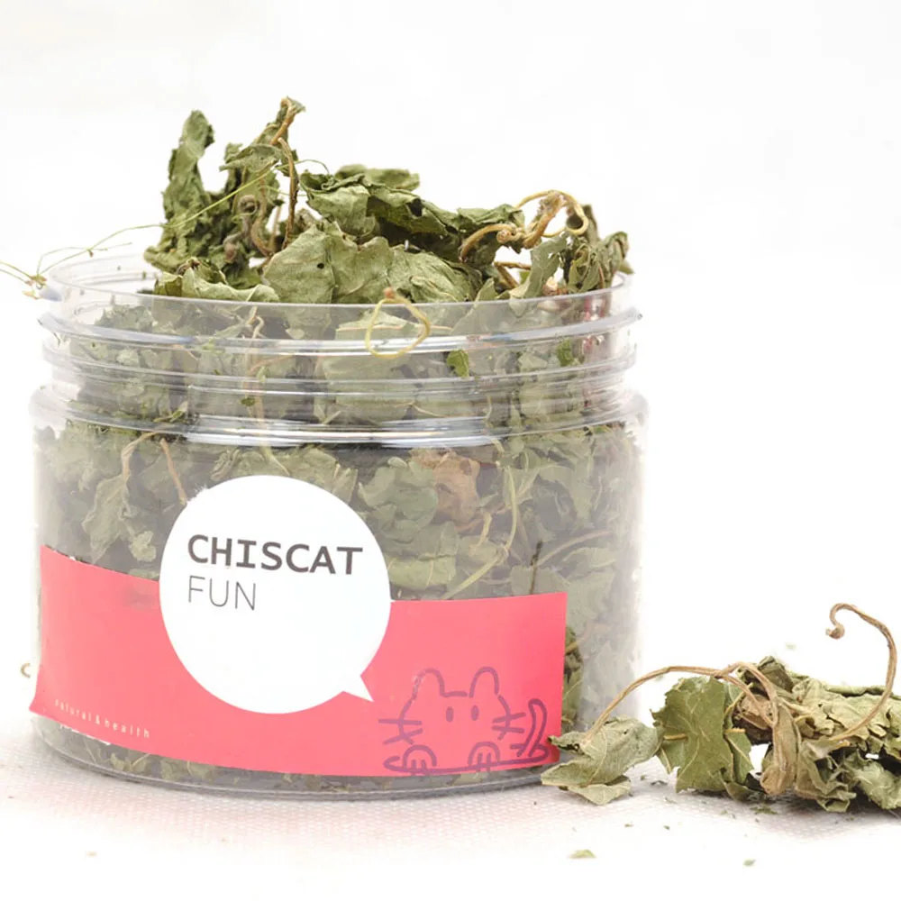 

Pet Cat Dried Silvervine Matatabi Polygonum Leaves 300ml Kitten Tea Snacks Calculi Premium Catnip Plant Catmint Toys Accessories