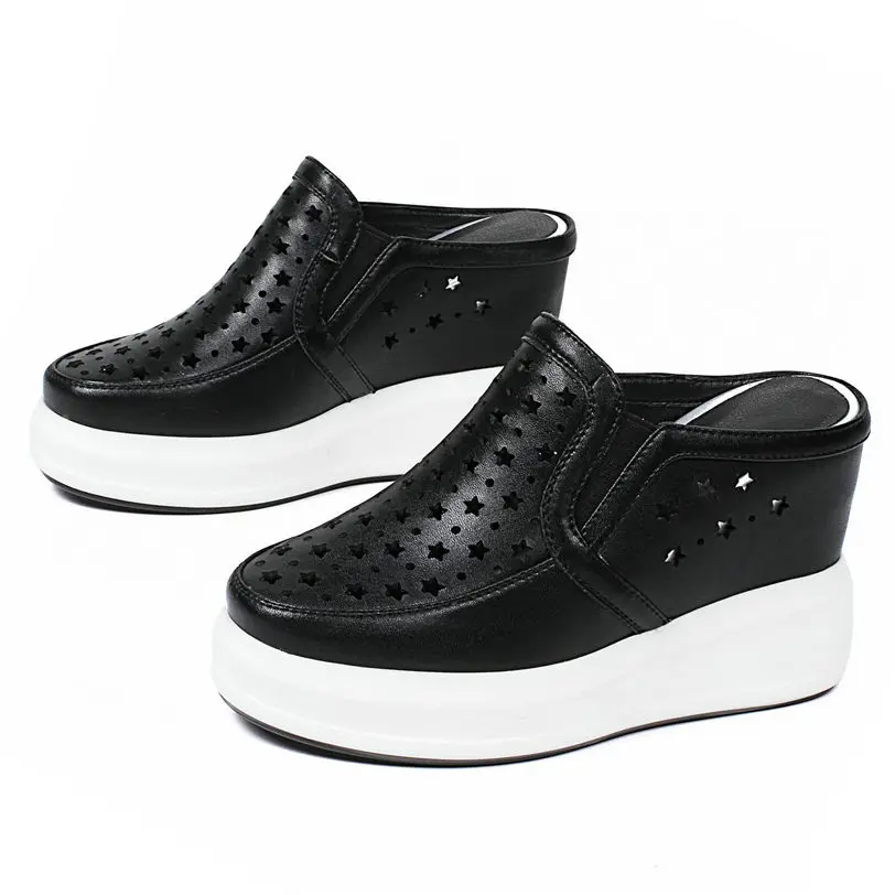 IMG_2584_副本_副本_副本_副本_副本