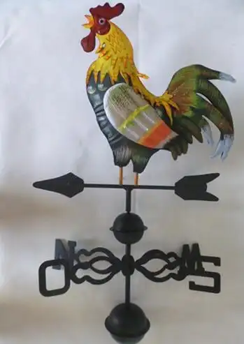 Super duży kogut