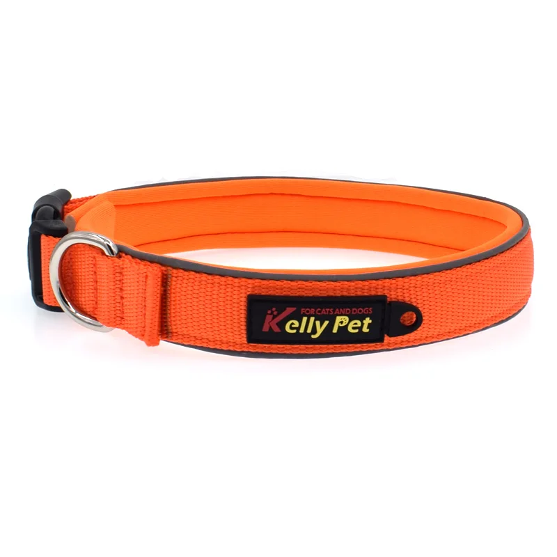 10 dog collar and leash 
