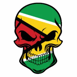 guyanese_flag_skull_baby_bib-r8a9ecbf9eb51404db1f7ef729bfcaa10_zfe0o_260