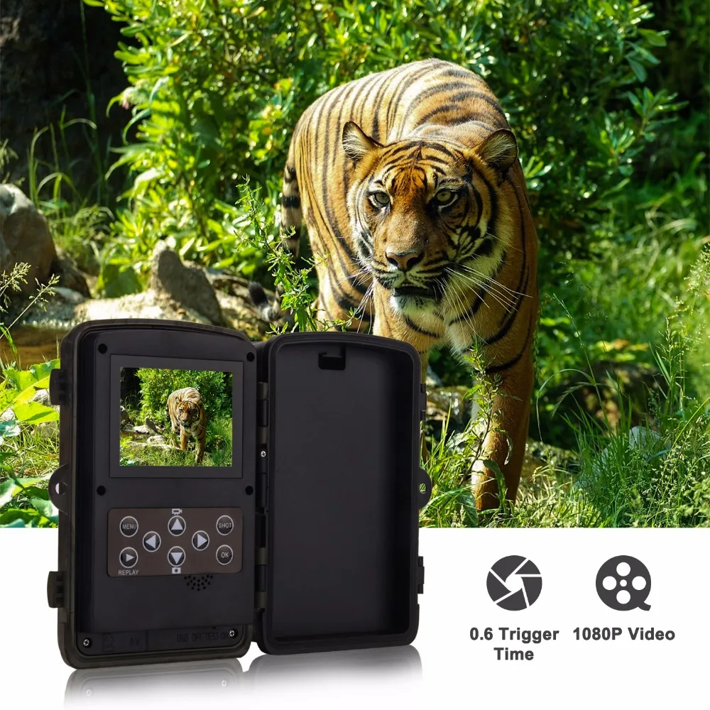 Hunting camera traps photo (3)
