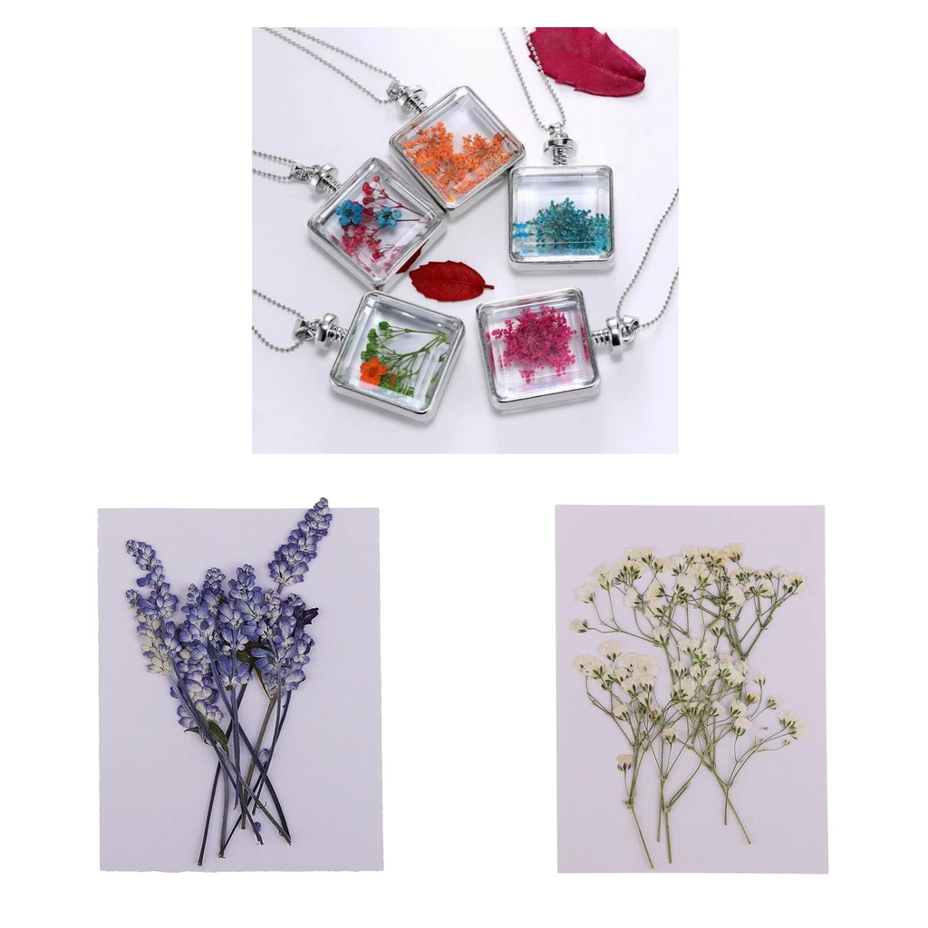 MagiDeal 20x Pressed Dried Flowers Real Babysbreath Sage DIY Scrapbooking Arts Crafts Fake Flowers for gift packaging DIY Craft 