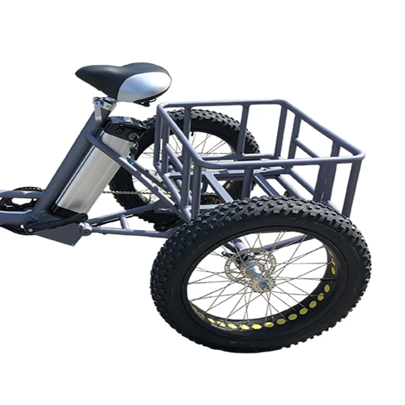 Best 250W 350W 500W Electric Tricycle With 36V10A Lithium Battery Brushless Gear Hub Motor 3 wheel Electric Snow Bicycle New Arrival 4