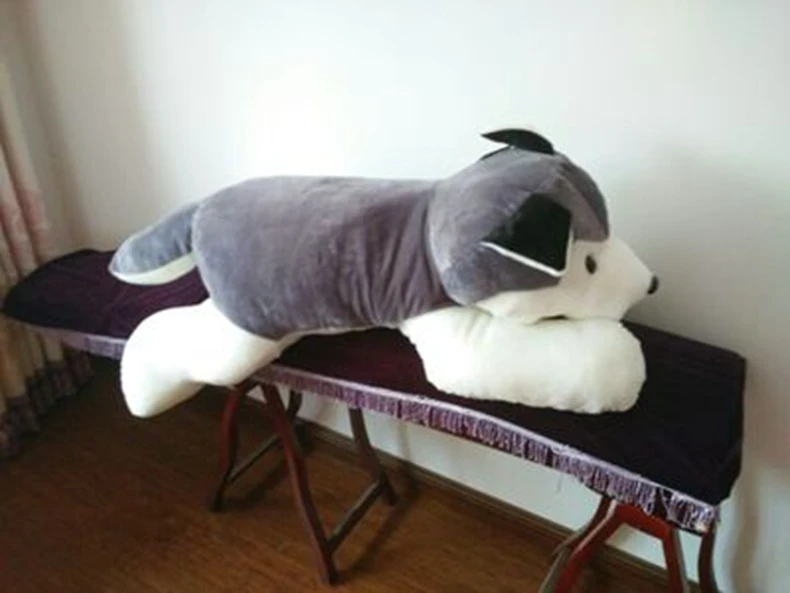 Cute Animal Husky Plush Toys Dolls Large Cartoon Dogs Valentine's Day Gifts Decoration 39inch 100cm DY50505 (11)
