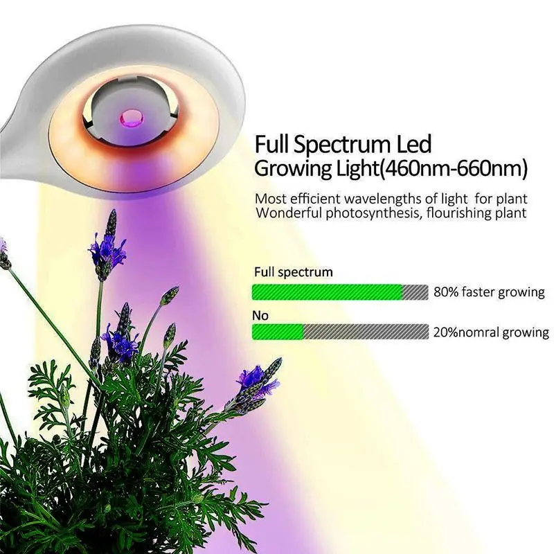 2 in 1 Full Spectrum LED Grow Light Reading Light with Fan Fitolampy Phyto Plant Lamp For Indoor Seedlings Flower Grow Tent Box