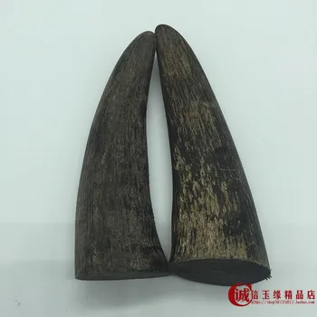 

Natural domesticated yak horn tip raw material