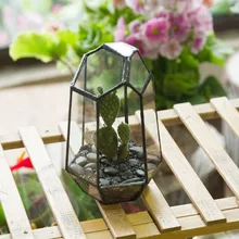 Creative Tabletop Irregular Glass Geometric Terrarium Succulent Plant Planter Flower Pot Decoration Container Micro Landscape