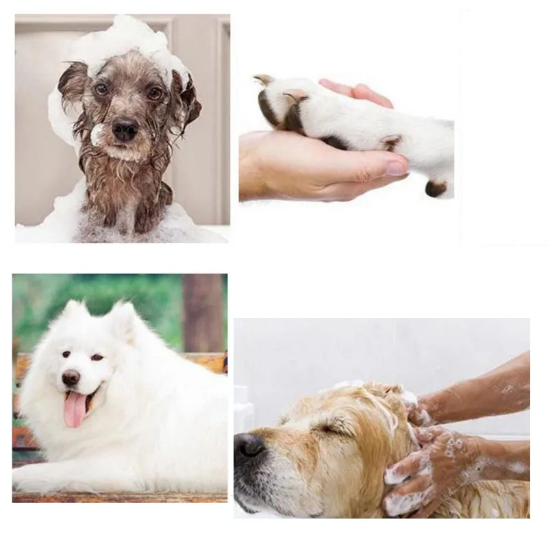 Dog Grooming Glove - Grooming Glove Dogs