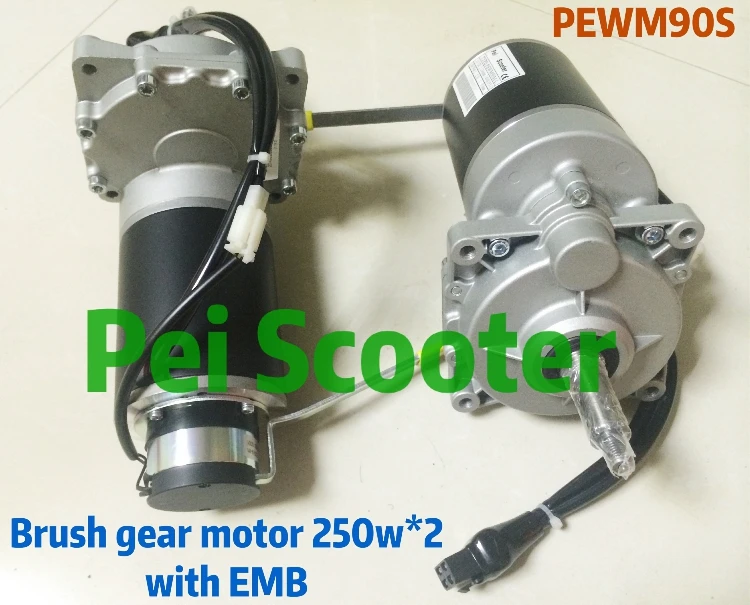 brushed hub motor