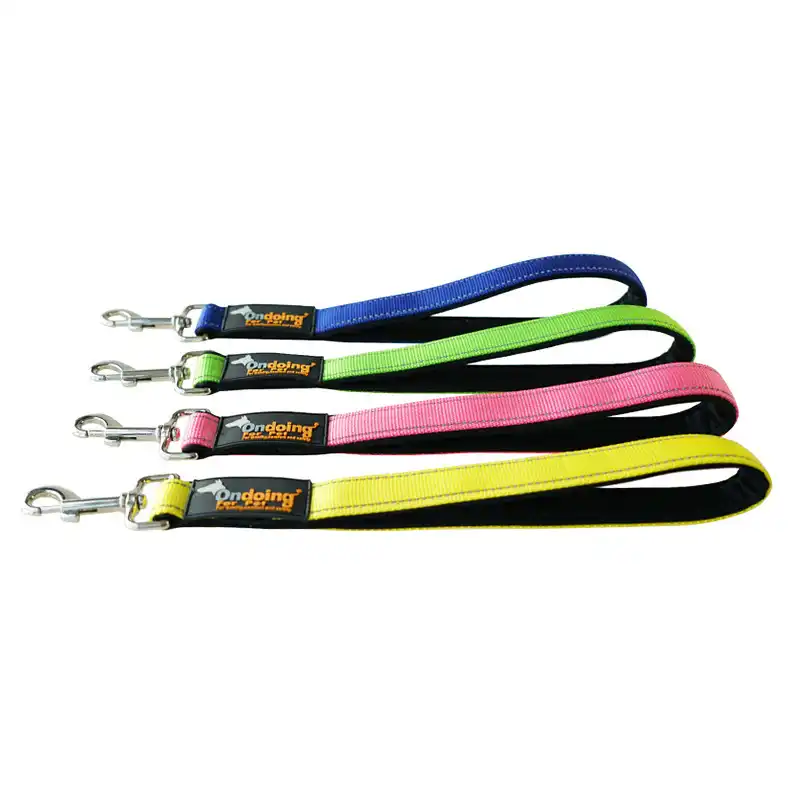 short leash training