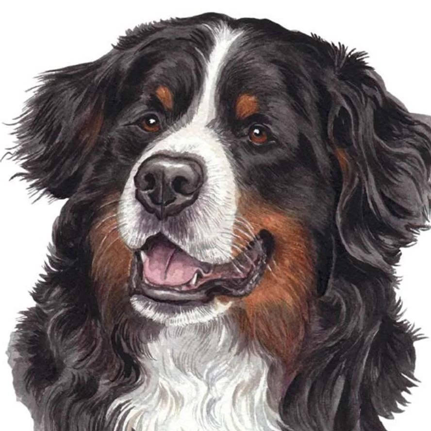 

Full Laid Daimond Painting Embroidery Puppy Bernese Mountain Dog 5D Diamond Painting Dog Cross Stitch Handwork Animal
