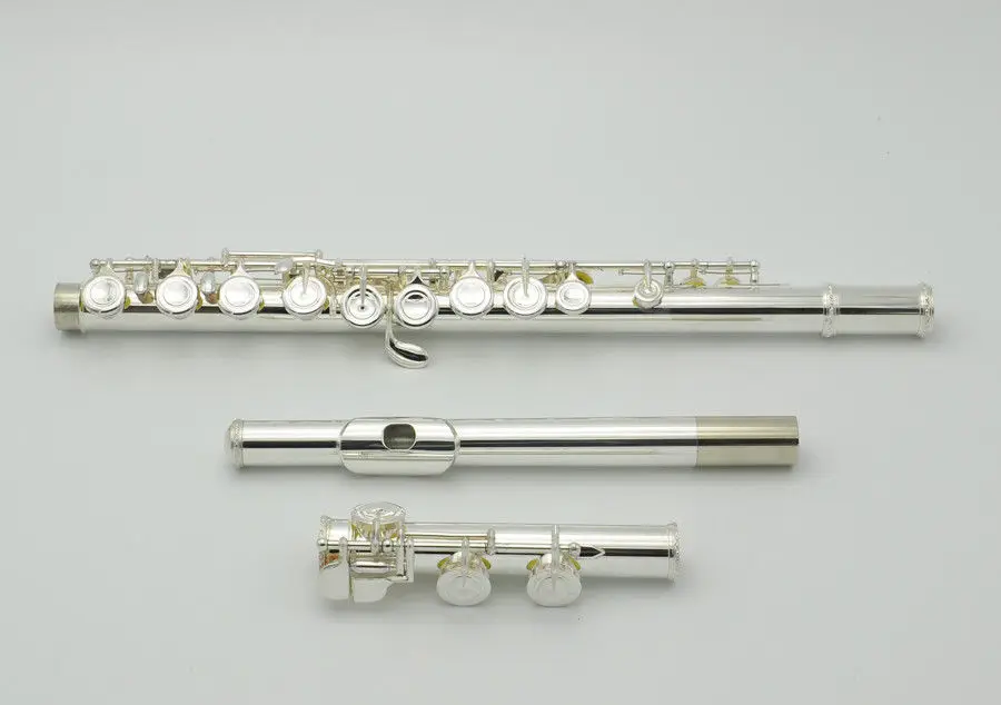 New Arrival 16 Hole Closed FluteE keyFrench Button Silver Plated