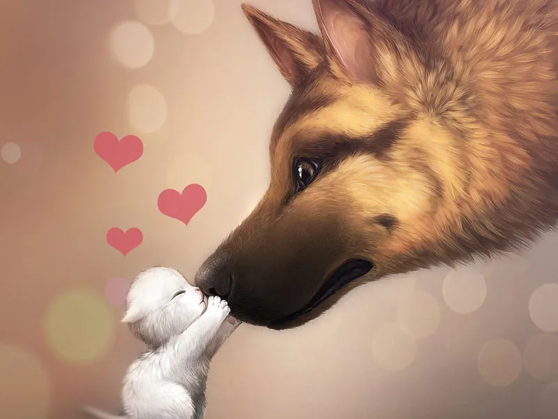 dog-and-cat-wallpaper