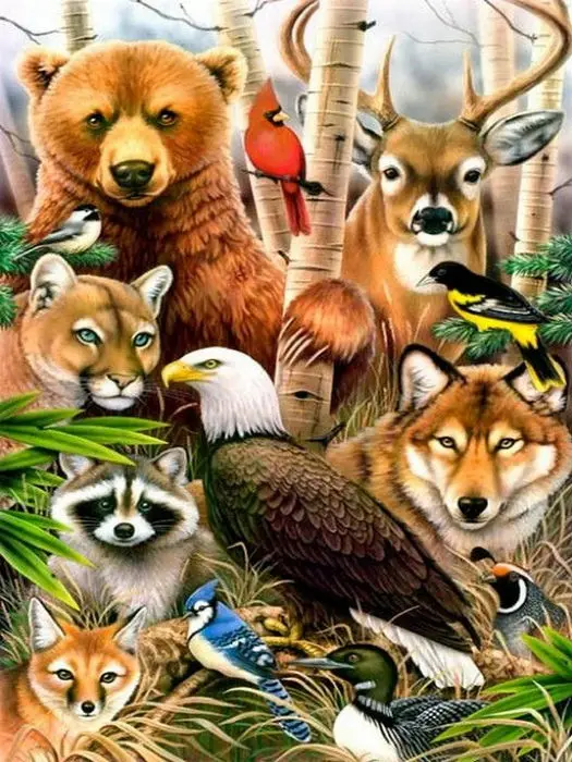 Где много звери. Множество животных. Лесные звери. Много зверей. Жители леса.
