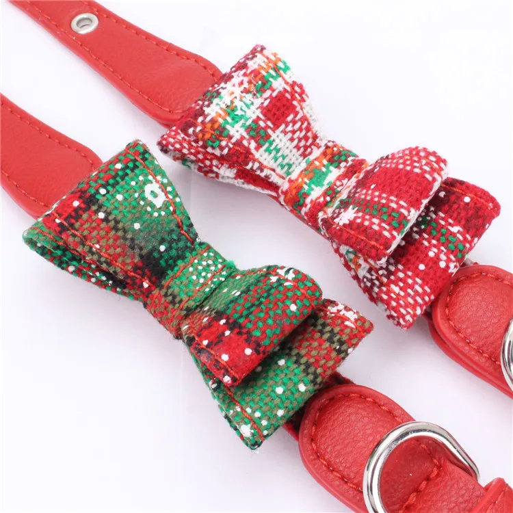 dog collar (3)