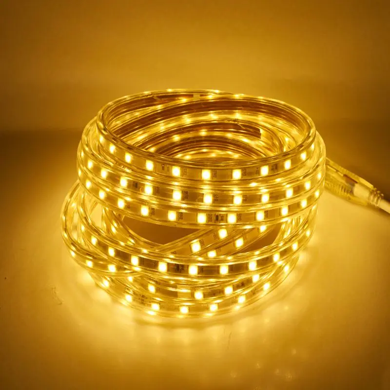 

SMD 5050 AC220V LED light strip flexible lamp 60leds / m ip67 waterproof tape light with power plug 1 to 25M with European plug