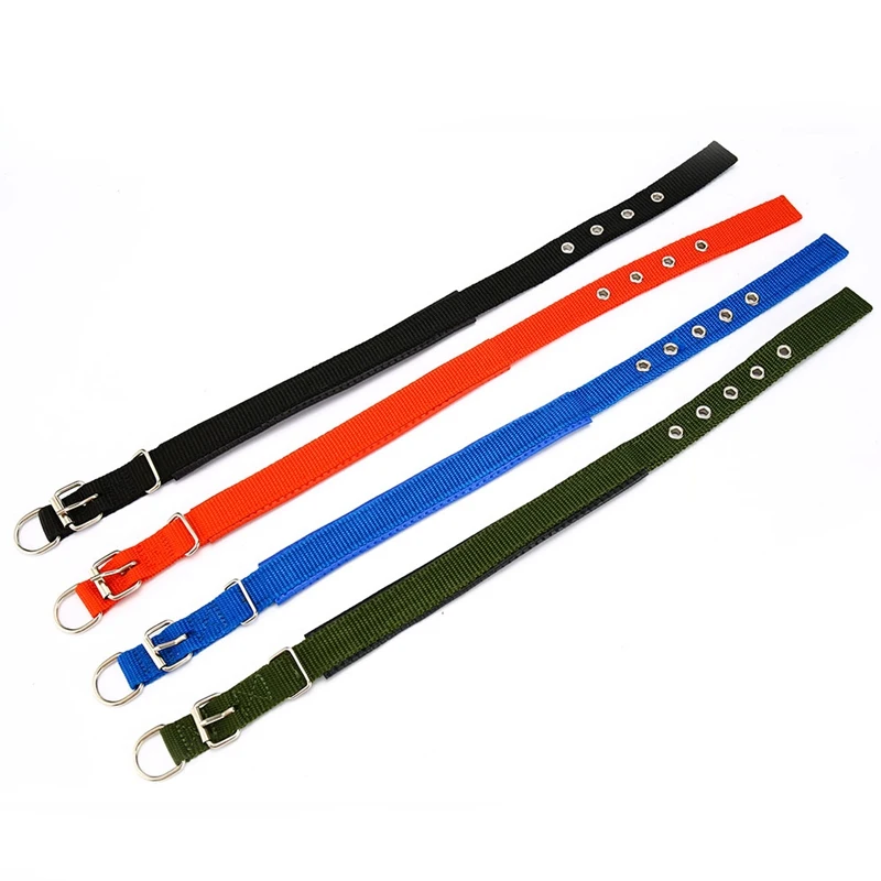 dog collar for dogs (5)