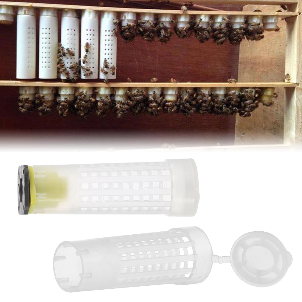 

New 10PCS Queen Bee Cage Protective Cover Rearing Prevent Bee Tools Biting Cap Beehive Plastic Beekeeping Cell Protector Garden