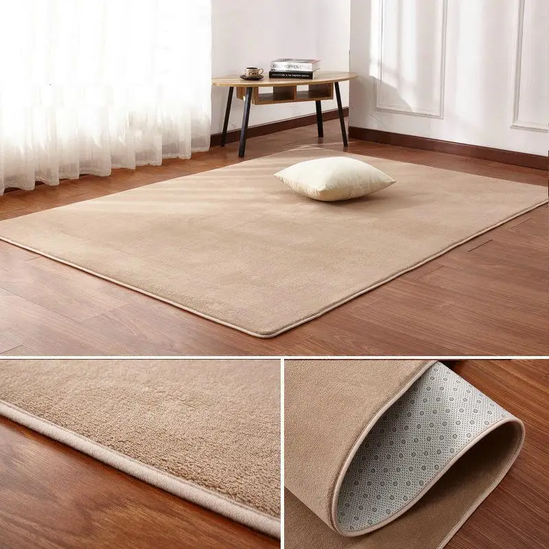 Details about   Coral Velvet Carpet Solid Water Absorption Sofa Carpet Memory Foam For Bedroom L 