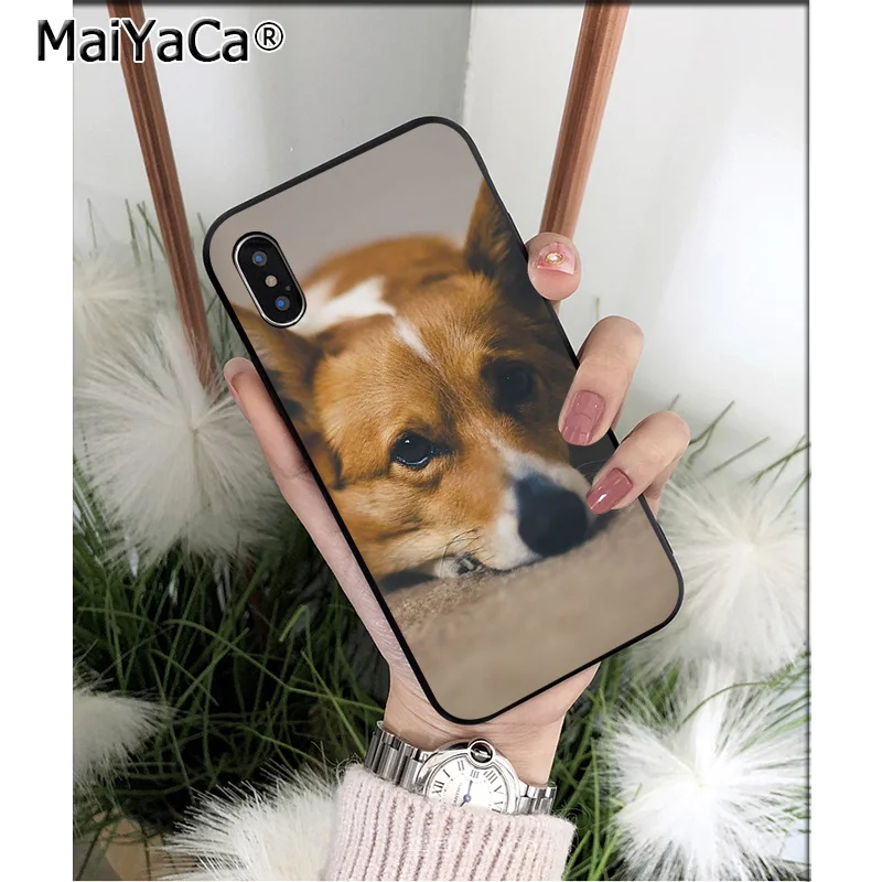 Anime Corgi dog