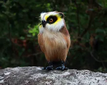 18x16cm night owl hard model polyethylene furs handicraft Figurines Miniatures decoration toy gift a2856
