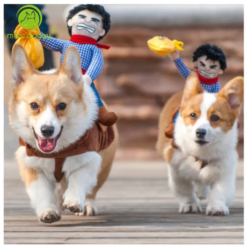 2016 Fashion Menunggang Kuda Hewan Peliharaan Anjing Pakaian Baru