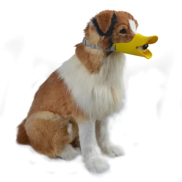 Dog Mask (42).jpg