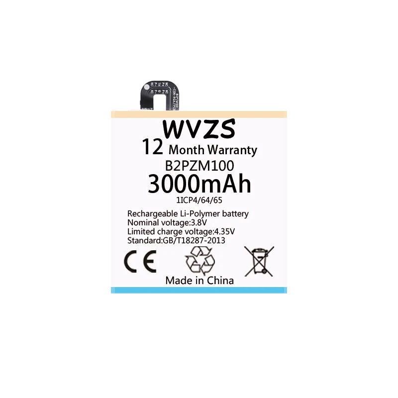 B2PZM100-A