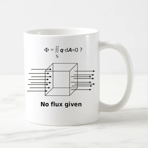 Hot Geek No Flux Given Mug Funny Science Physics Geek Coffee Mug Nerd 