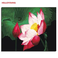 YH343 DIY Ручная роспись маслом в полный цветение цифровая живопись по номерам Масляные картины китайские картины-свитки домашний декор