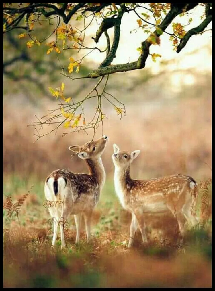 

Two deer under the woods diamond embroidery DIY diamond painting cross stitch crystal cube diamond sets unfinish decorative