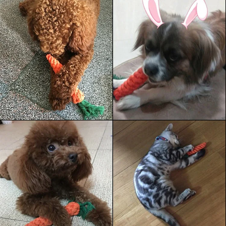 TB2d4bibzgy_uJjSZKbXXXXkXXa-277471818