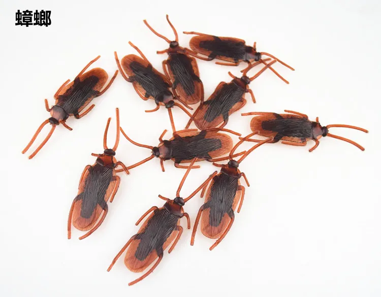 4422099091_805265677