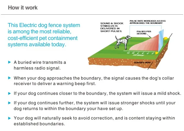 4th Electronic Dog Fence System PET803