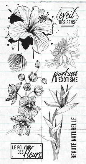 

French Transparent Clear Stamps for DIY Scrapbooking/Card Making/Kids Christmas Fun Decoration Supplies