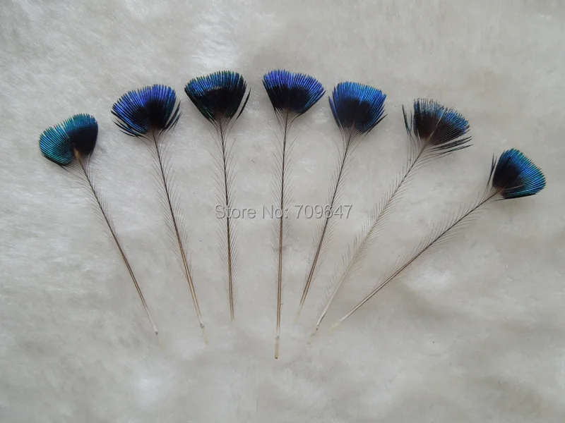 

Rare Feathers! 20Pcs/Lot 5-6cm Long NATURAL PEACOCK CROWN FEATHERS-Fly Tying Material,Rare Peacock Feathers