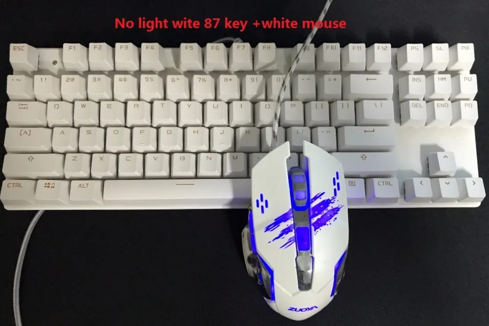 NO  LIGHT WHITE MOUSE11