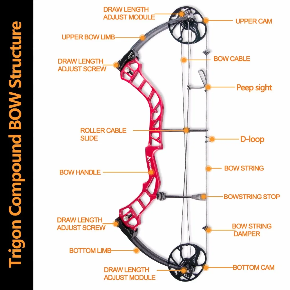 Trigon-Compound-BOW-Structure