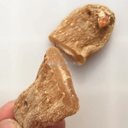 

dried Wild Gastrodia elata roots 100g organic Chinese health care herbal tea real natural tian ma Rhizoma Gastrodiae