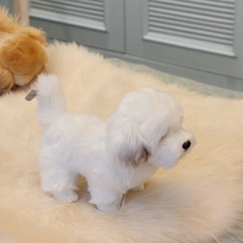 Dorimytrader высококачественное моделирование животных Мальтийская собака плюшевая кукла мини мягкие животные собака подарок для малышей украшение 27x12x22 см