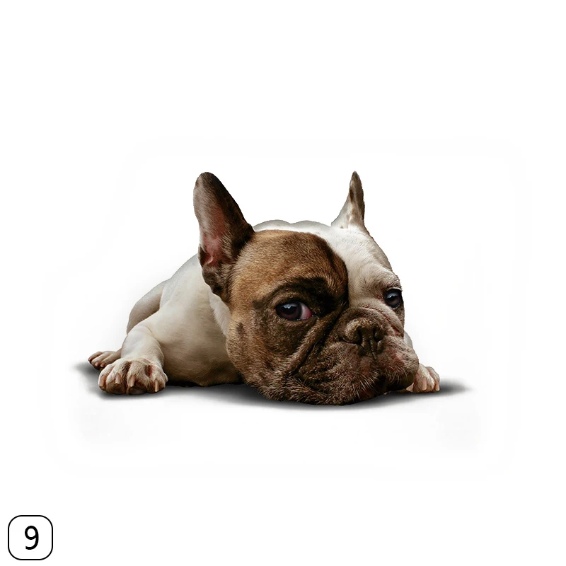 267554_no-logo_267554-2-09