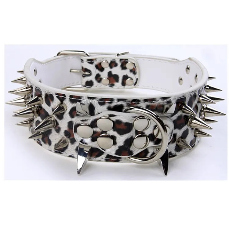 Dog Collars (4)