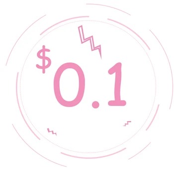 

SPECIAL FEES FOR SPECIAL LINK 0.1