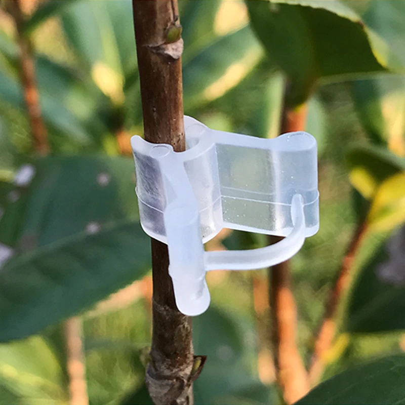 

20pcs/Pack Plastic Plant Support Mini Grafting Clips Plants Seeding Grafting Clip Tool for Garden Vegetable Flower Vine Bushes